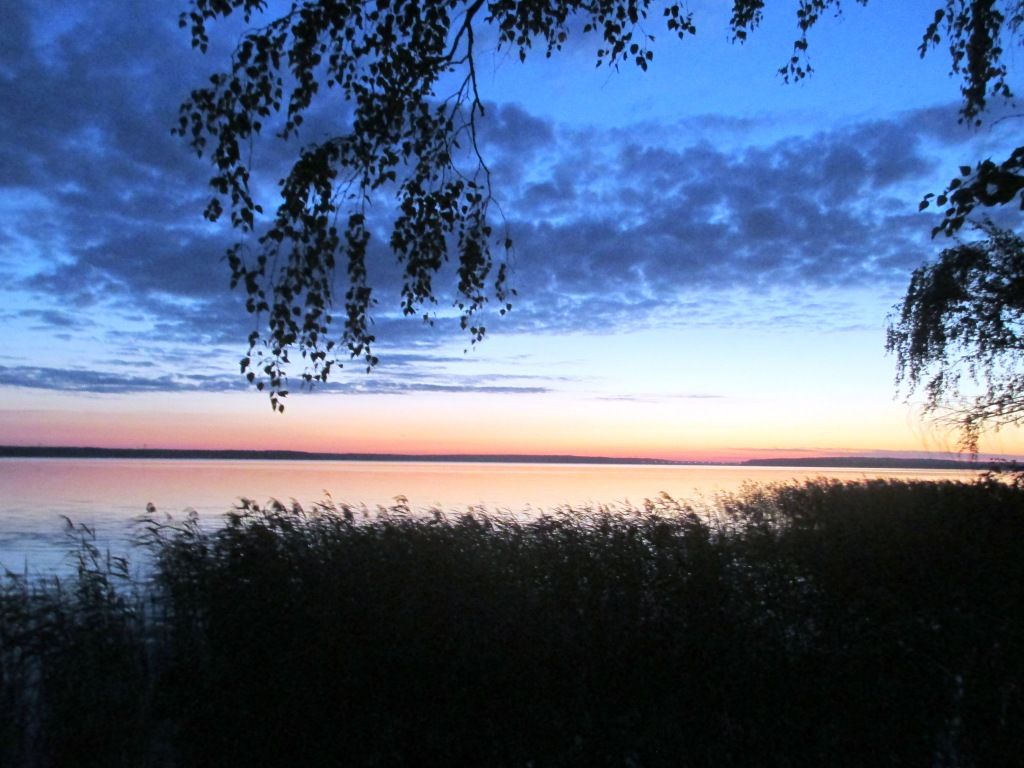 photo IMG_3145_zpsvhnmbrcp.jpg