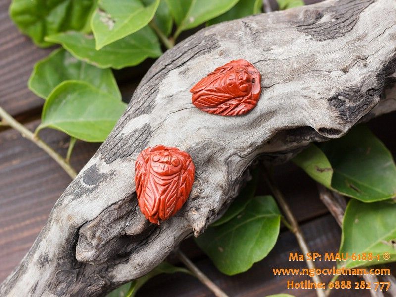 Ve sầu (Ngọc thiền) ngọc bích đỏ Jasper 