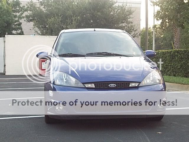 Ford focus svt euro grill #1
