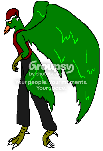 User Image