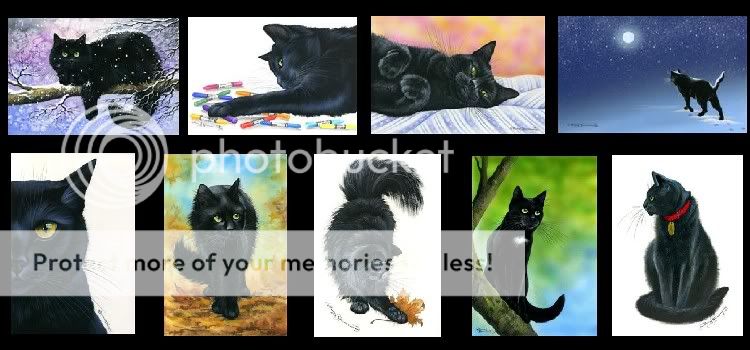 Black Cat Take A Rest Print by I Garmashova  