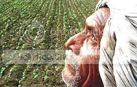 indian_farmer_suicides.jpg