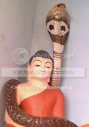 main-pic-snake-small.jpg