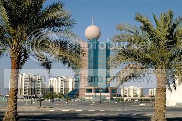 p8.jpg