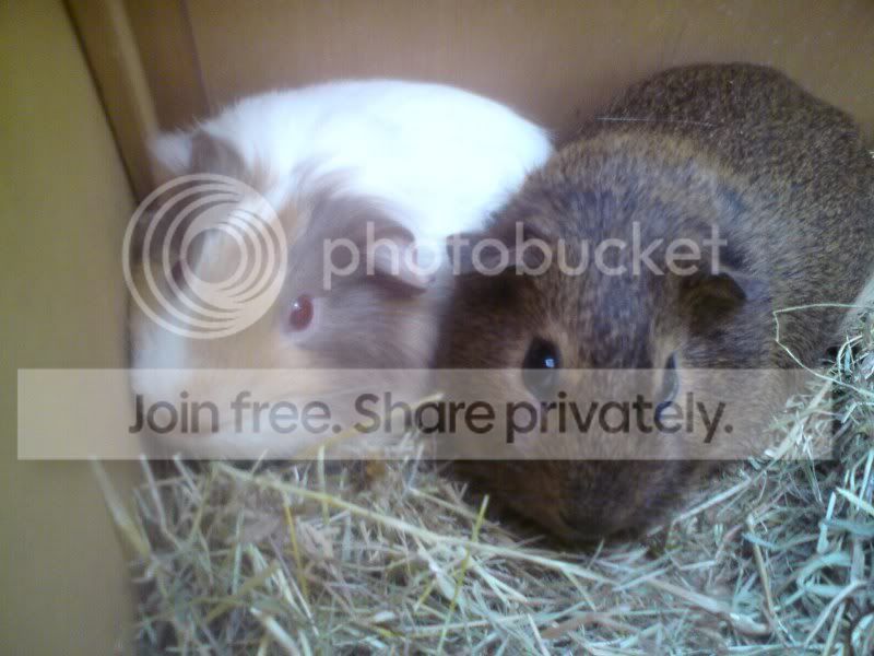 DSC07709.jpg