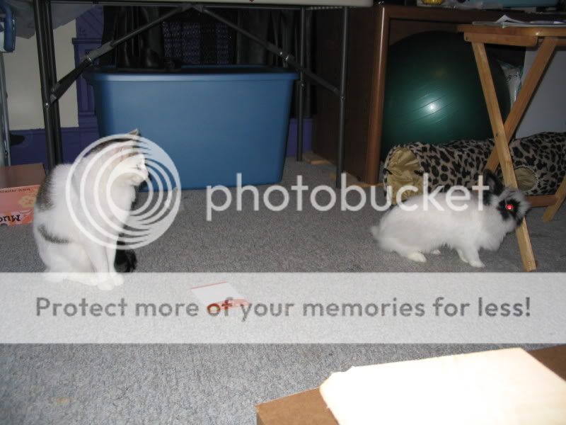 Thomas and Bruno, regarding each other